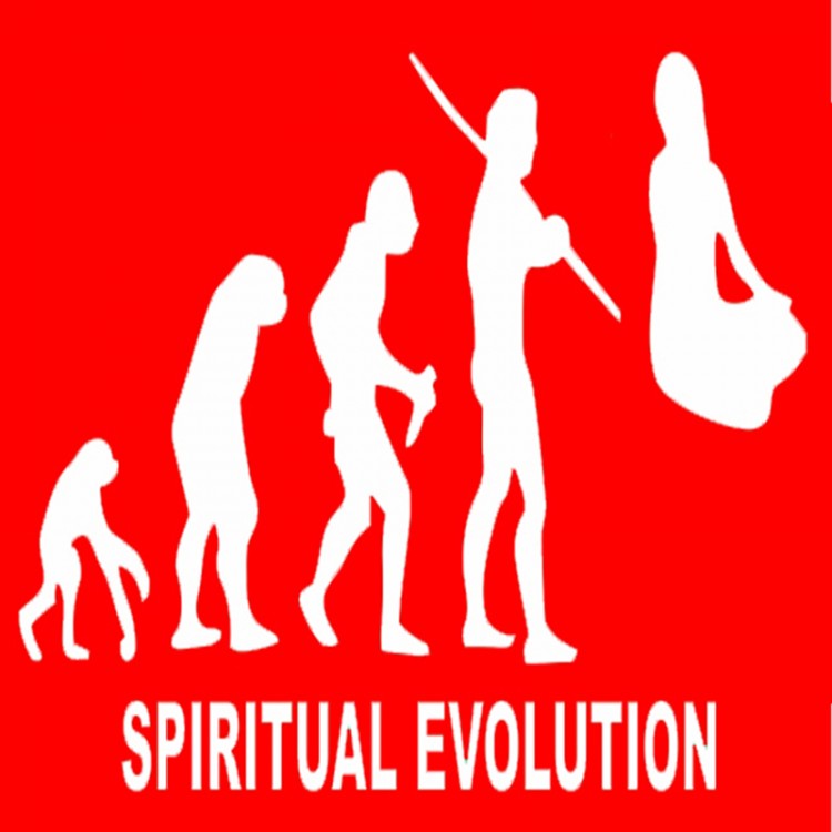 Spiritual Evolution T Shirt